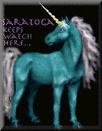 Saratoga the Site Sentry